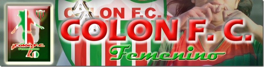colon blog2011a3