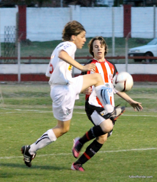 florida san jose bruschi