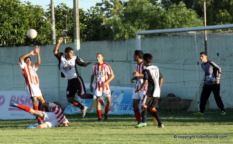 imagen 028
