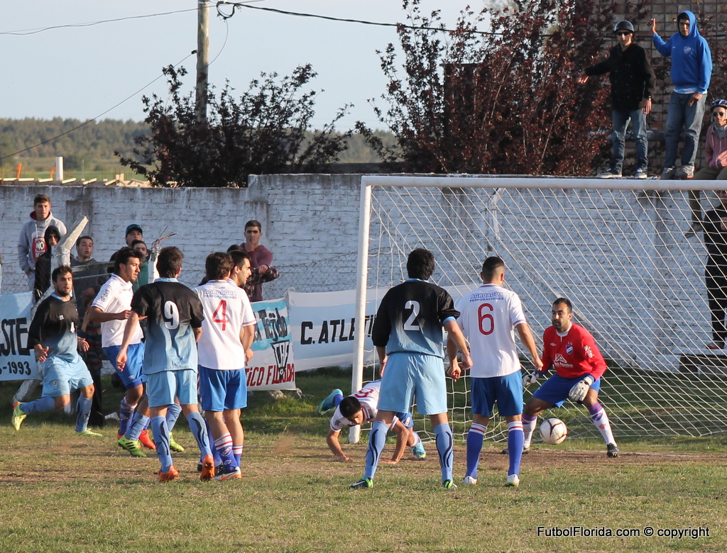img 2289 copia
