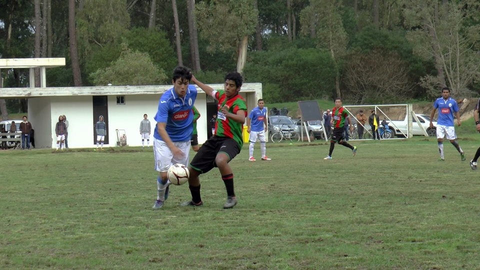 la paloma rampla