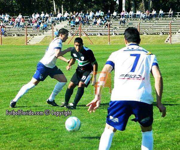 porongos pirata jrs1