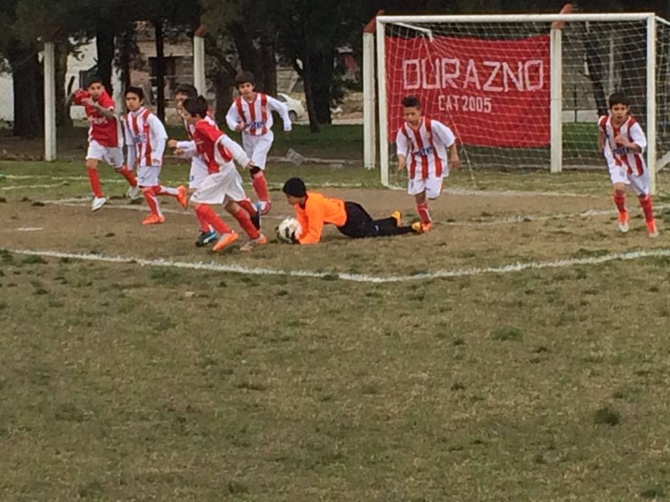 baby jugada fda dzno