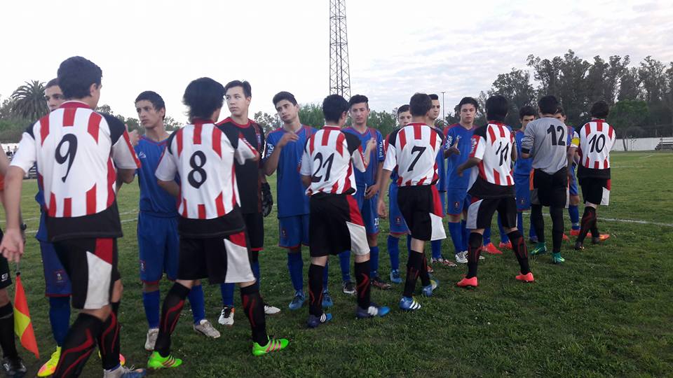 sub 15 canelones fda
