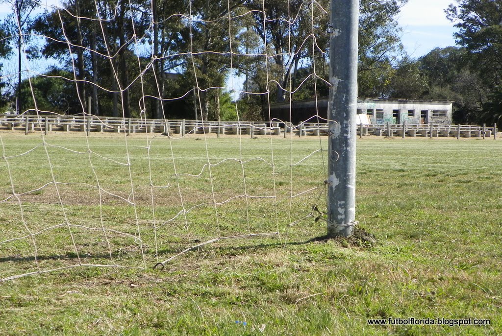 liceo faustino harrison
