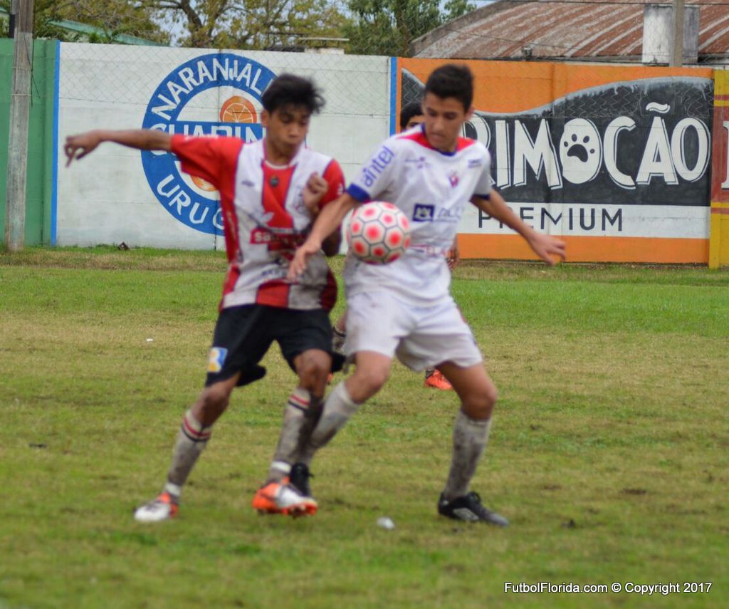 b4c7e1db f3ac 4795 981e 0f6a78a0e1ca