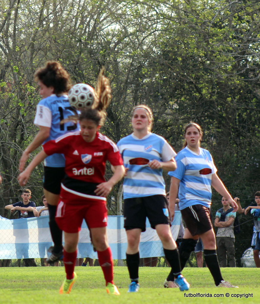 4a3917fa 654c 415a 8f52 aad703fd0c2c