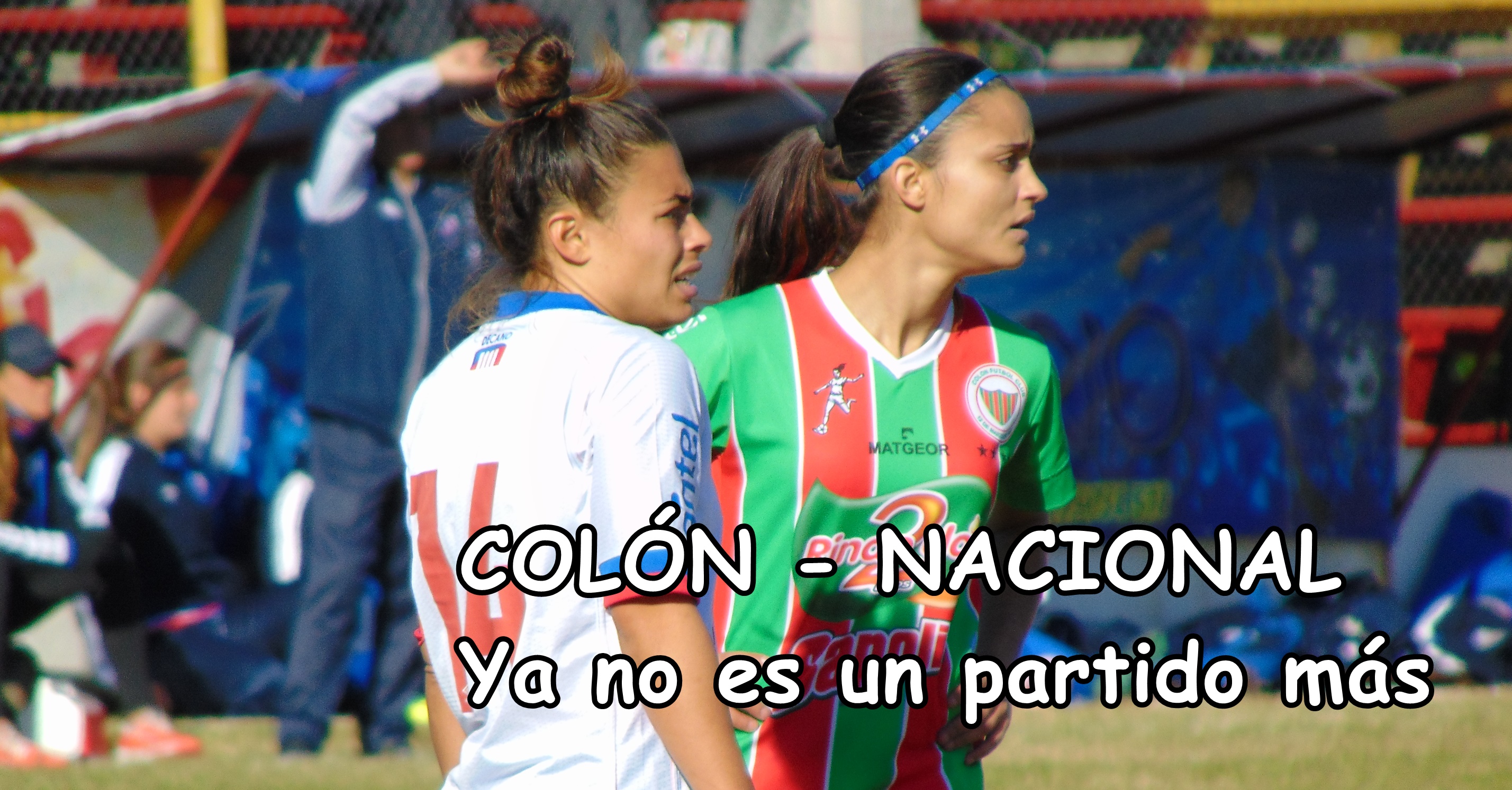 PORTADA 19