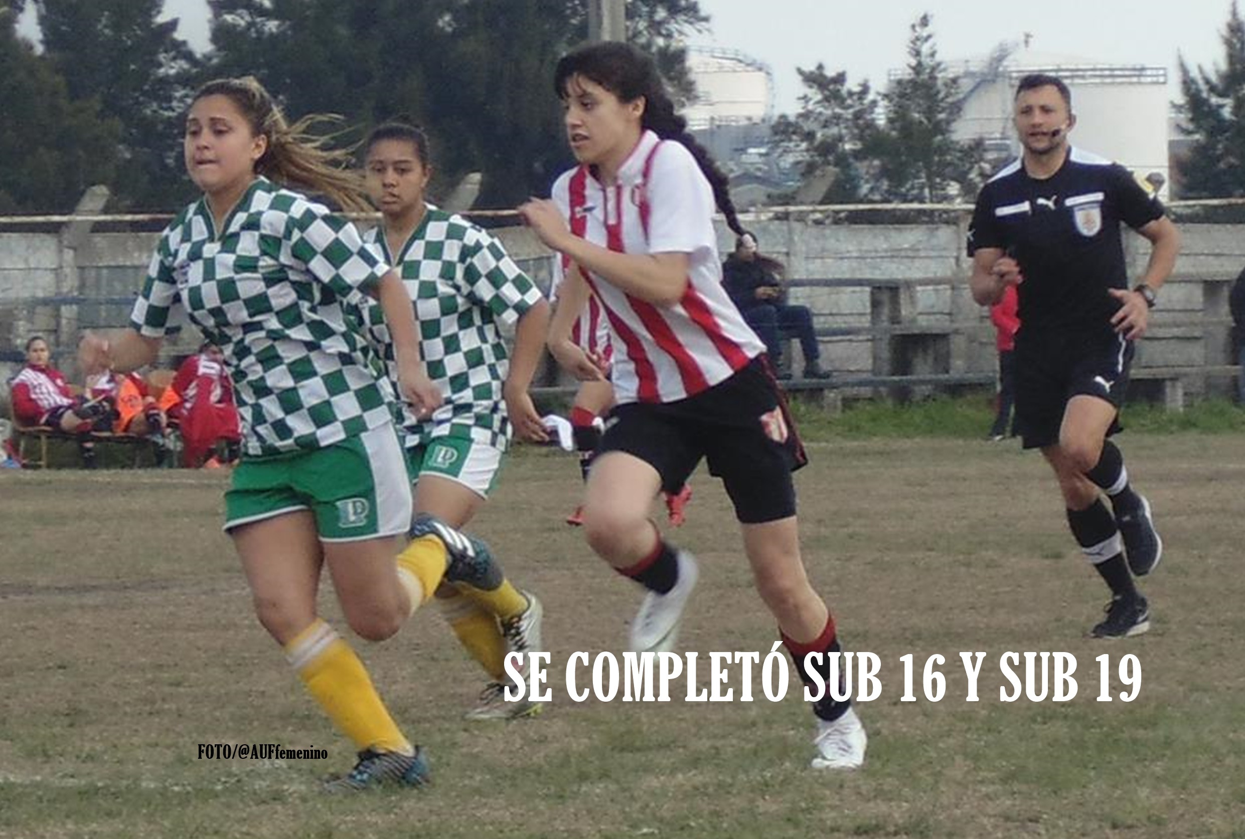 PORTADA 53