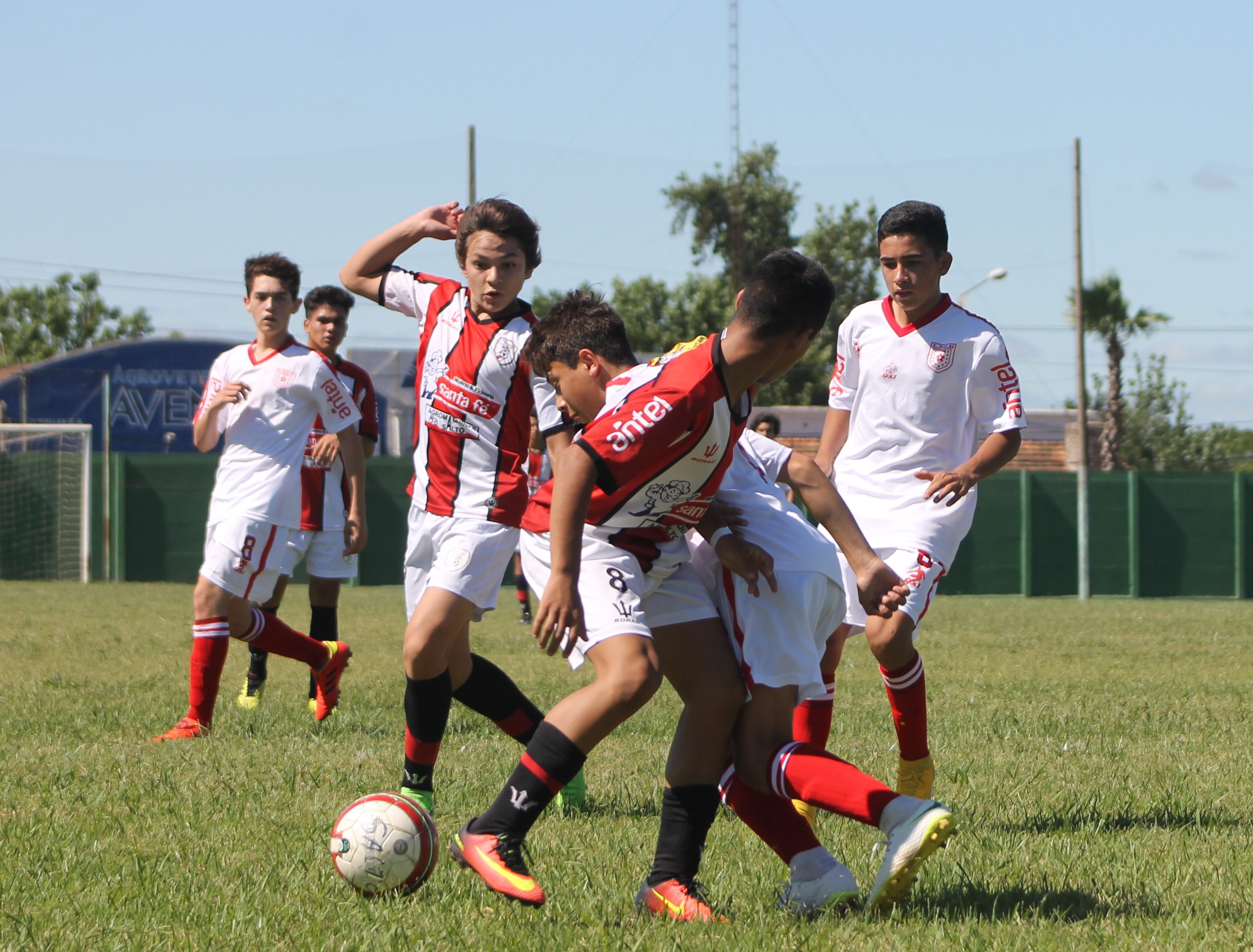 IMG 3609 e1543581400851