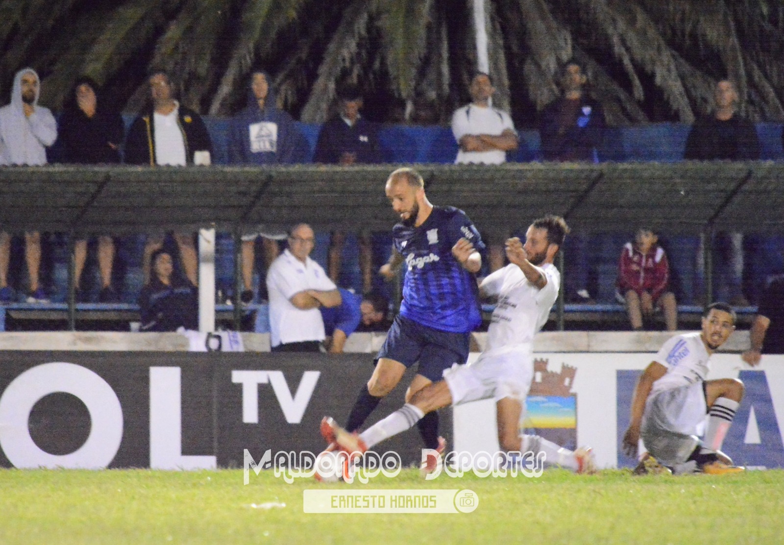 WhatsApp Image 2019 01 13 at 23.54.51