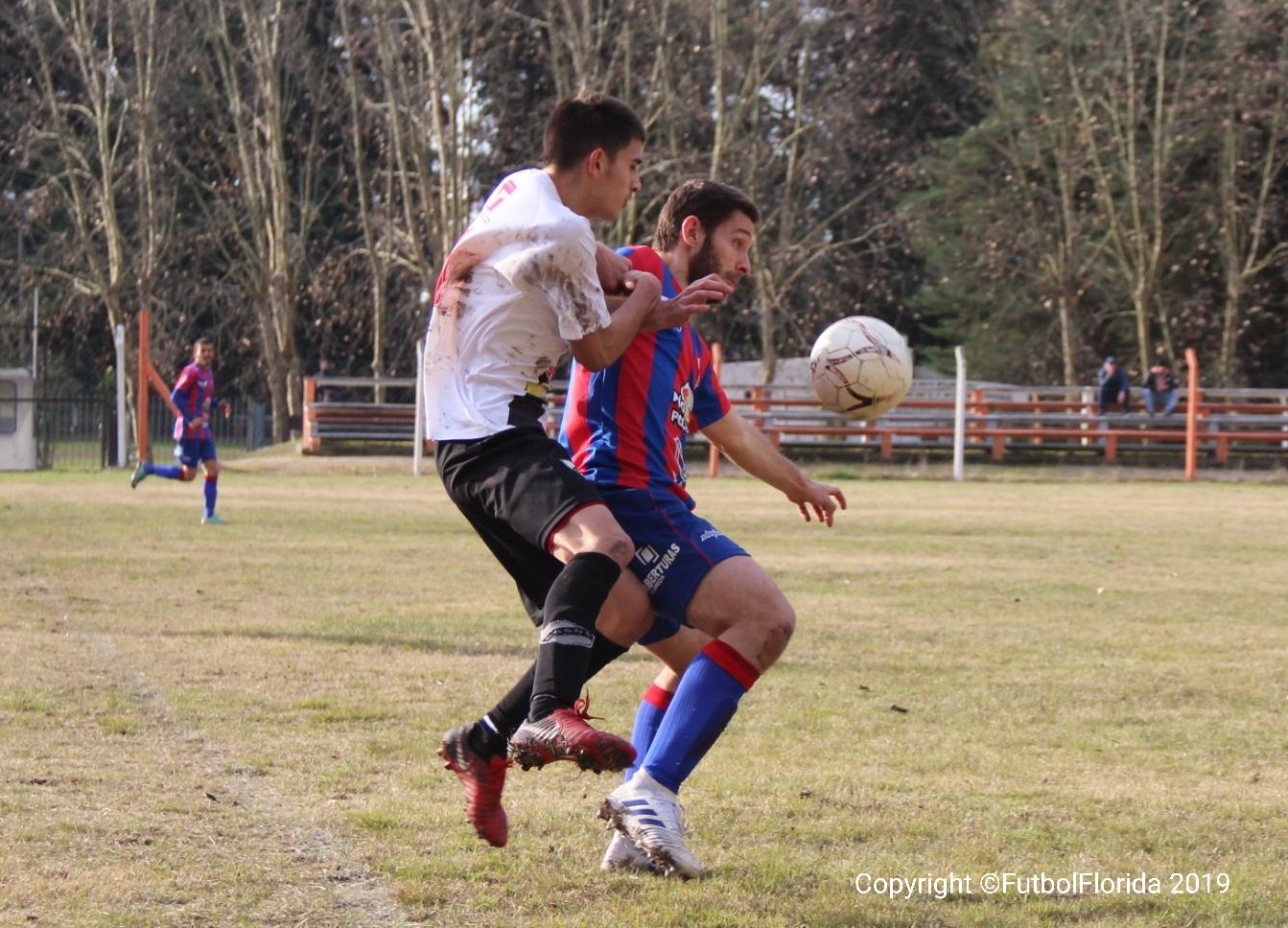 AddText 07 29 04.57.47