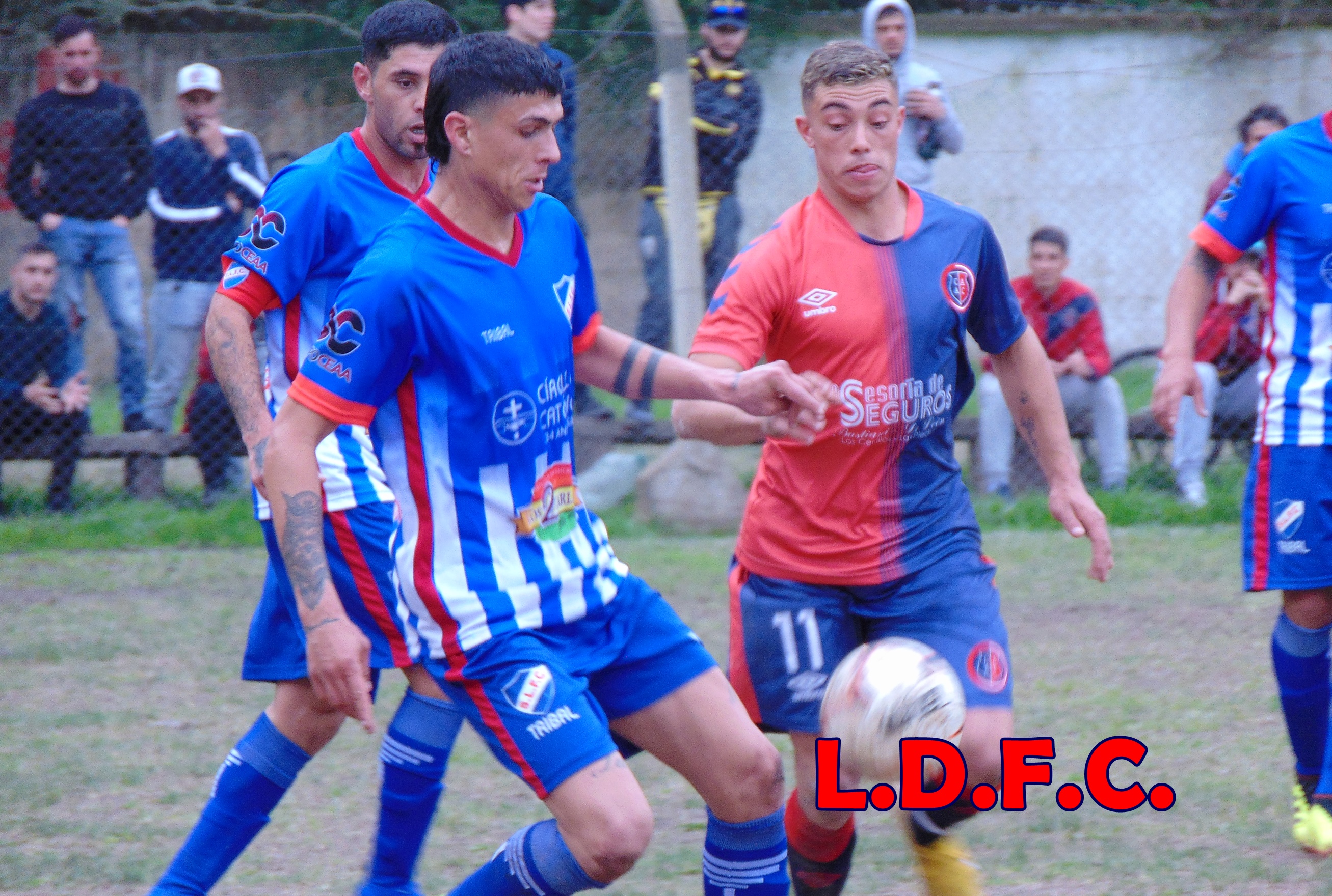 PORTADA 15