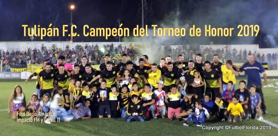 tulipan campeon