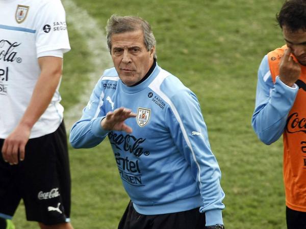 tabarez 3