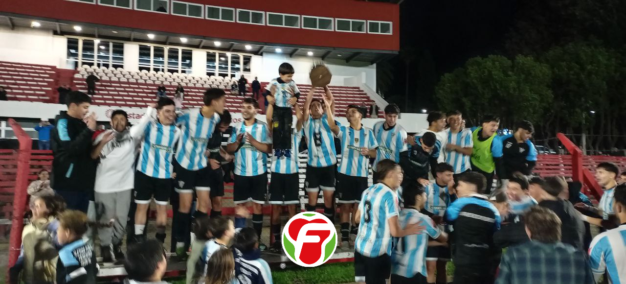 Lumii 20231203 225034190