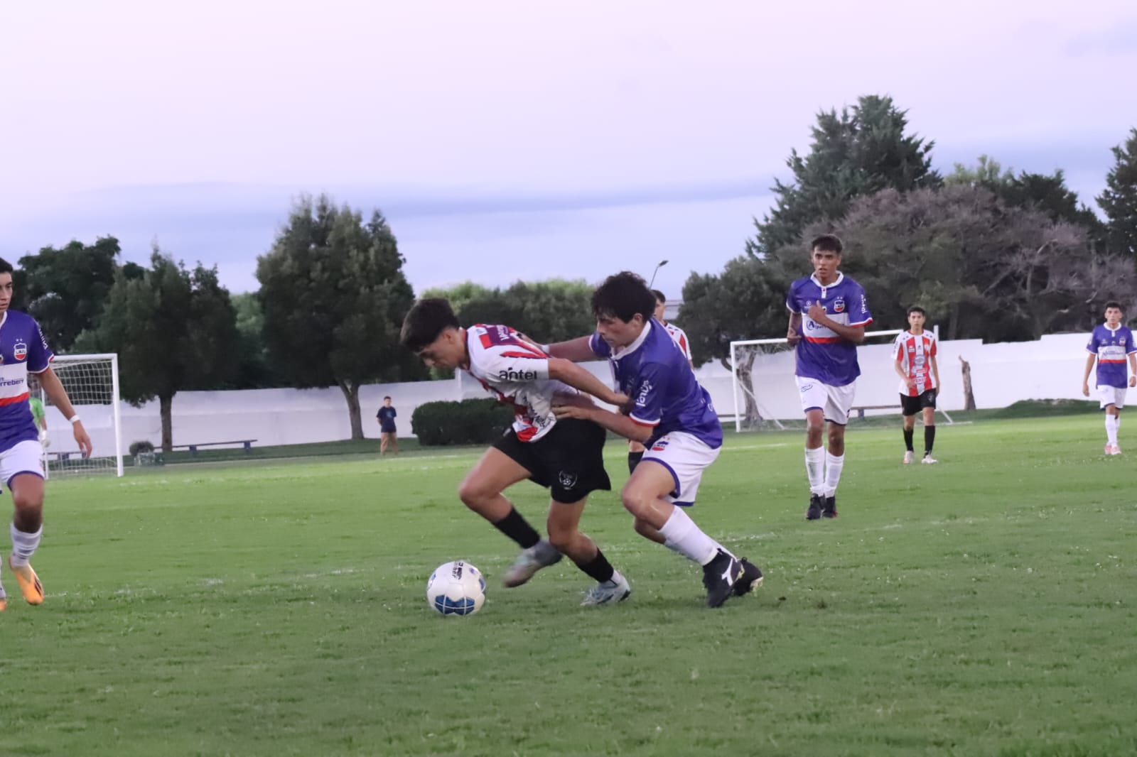 WhatsApp Image 2024 03 09 at 7.54.39 PM