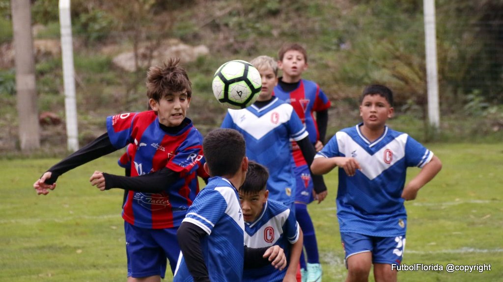 WhatsApp Image 2024 04 13 at 17.10.48 1