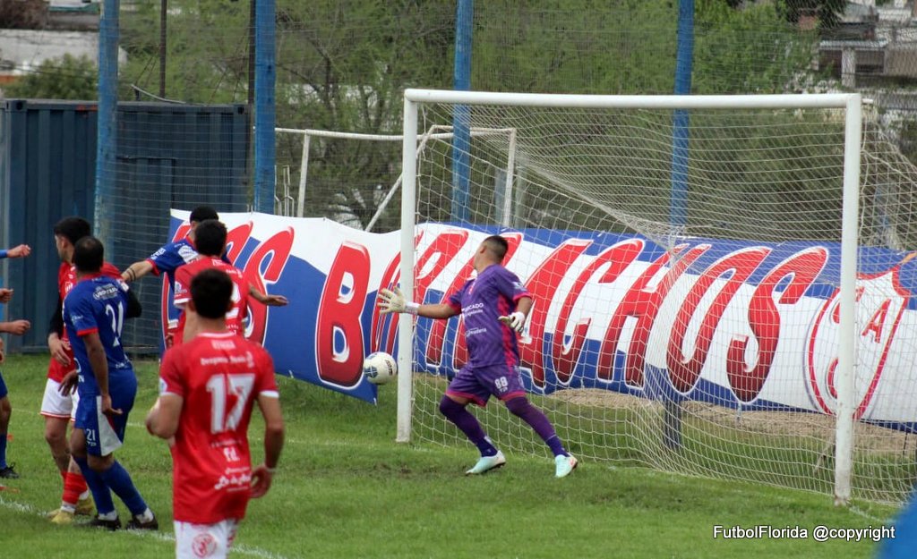 7ed72f65 adf9 437b 98cc 0fbec6682cae