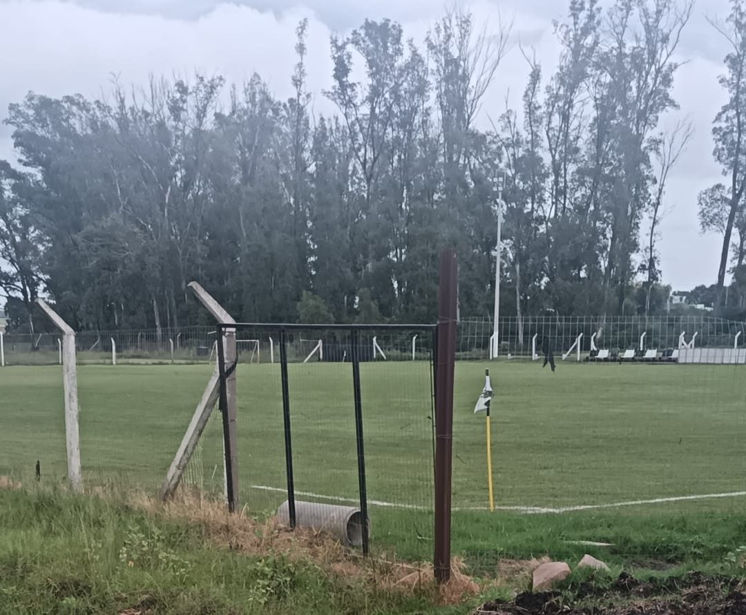 WhatsApp Image 2026 03 28 at 15.58.21 e1774727548798